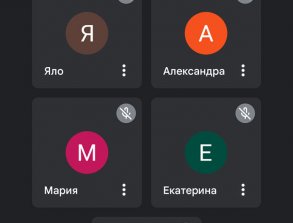 Дистанционная встреча в приложении Google Meet